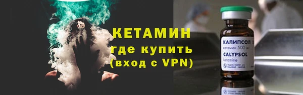 прущие грибы Верея