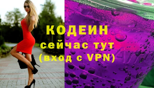 амф Пересвет