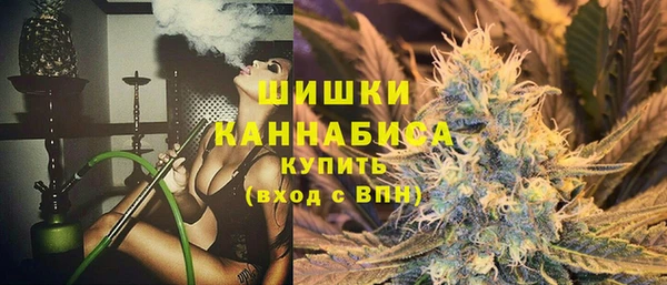 амф Пересвет