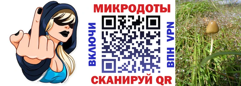 Галлюциногенные грибы Magic Shrooms  дарк нет как зайти  Белоозёрский 